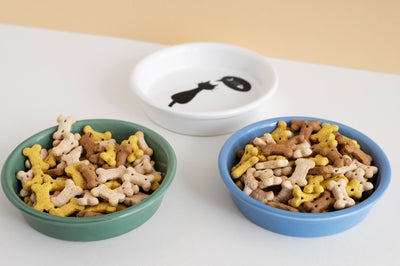 Keeping Your Pet Healthy: A Quick Guide
