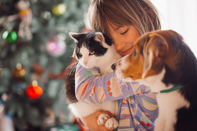 Simple Tips for Caring for Your Dog & Cat
